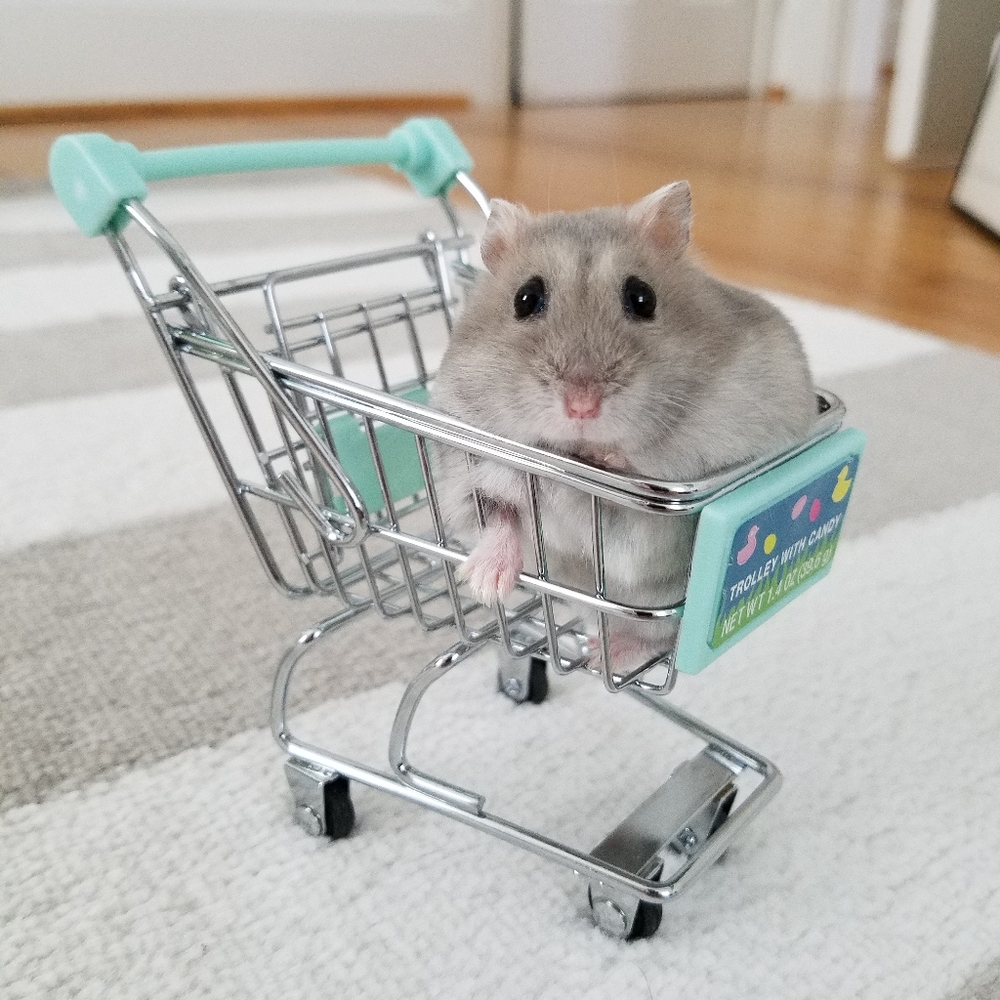 Meet your Posher, Sky